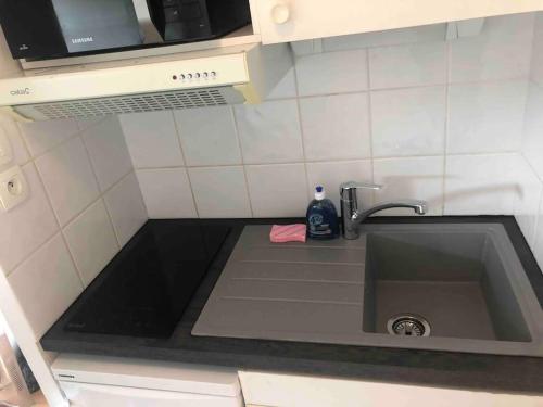 ein Waschbecken in einer kleinen Küche mit einer Arbeitsplatte in der Unterkunft Charmant Studio Aix en Provence avec parking gratuit in Aix-en-Provence