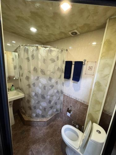 a bathroom with a shower and a toilet and a sink at Apartment in Yerevan on Amiryan Street,CENTRE in Yerevan