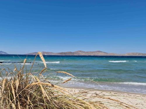a view of the beach with mountains in the background at Urszula's apartment- apartment with pool in Kos in Psalidi