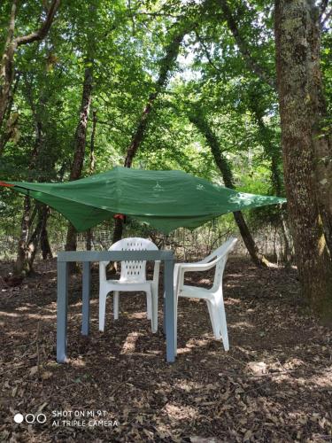 Le tent'suspendu في مونْكاري: طاولة نزهة عليها قماش أخضر