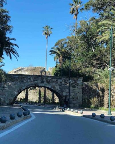 a stone bridge over a road with palm trees at Urszula's apartment- apartment with pool in Kos in Psalidi