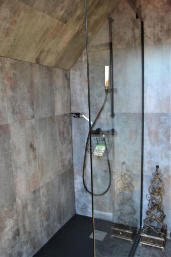 a shower with a glass door in a bathroom at Au temps suspendu in Champagney