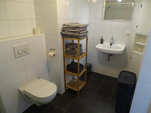 a bathroom with a toilet and a sink at Guesthouse Wormer in Wormer