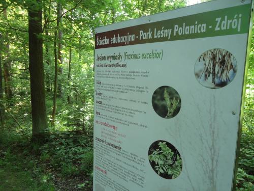 a sign in the middle of a forest with trees at Apartament 221 przy Niedźwiadku in Polanica-Zdrój
