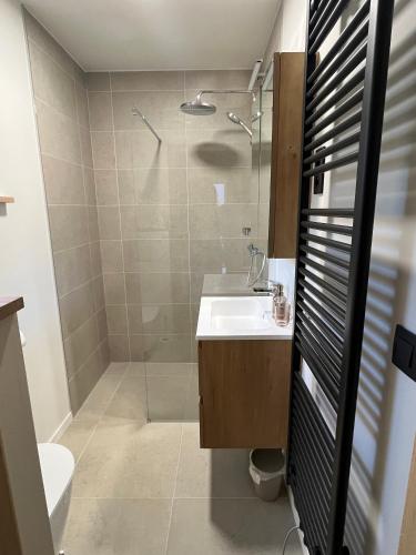 a bathroom with a shower and a sink and a toilet at Chalet Liquidambar in Zutendaal