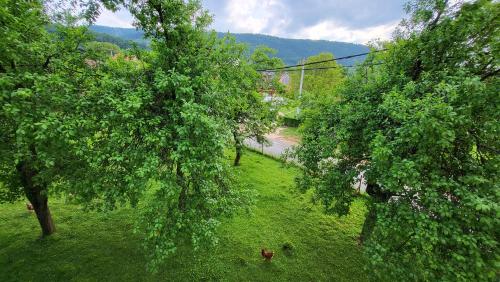 Gallery image of Penthouse Glam in Otočac
