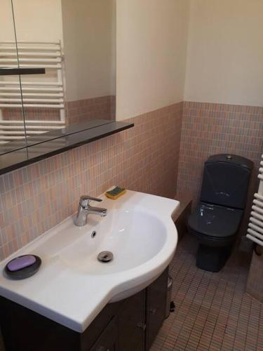 a bathroom with a sink and a toilet at Gite TY KERMORZU in Saint-Adrien