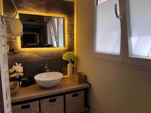 ein Bad mit einem Waschbecken und einem Spiegel in der Unterkunft 4 pièces climatisé, dépendance, double terrasse, jardin, centre cannet in Le Cannet