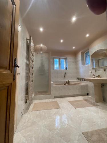 ein Badezimmer mit einer Dusche, einer Badewanne und einem Waschbecken in der Unterkunft Clos de la Gipiere in Montauroux