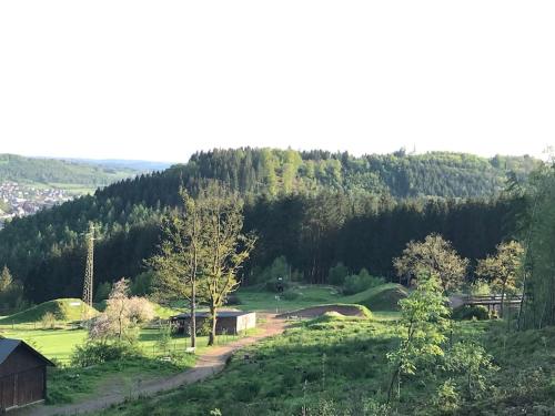 a view of a field with trees in the background at Little Roua Ardenne Cottage 4 pers in Stoumont
