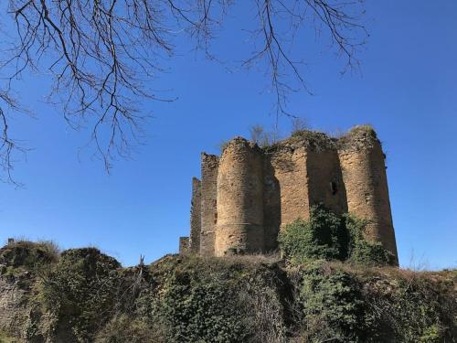 an old castle on top of a hill at Little Roua Ardenne Cottage 4 pers in Stoumont