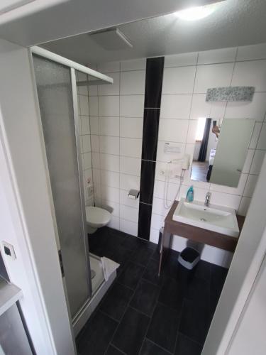 a bathroom with a sink and a toilet at BoardingHouse Sinsheim zentral am Burgplatz in Sinsheim