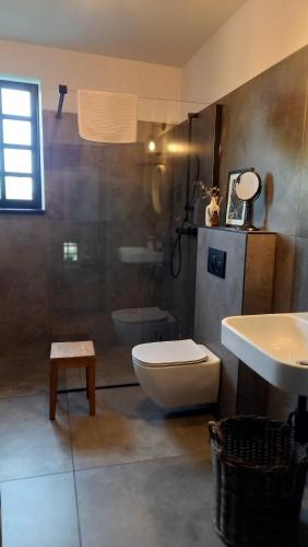 uma casa de banho com um WC e um lavatório em Villa Luna em Sedlec