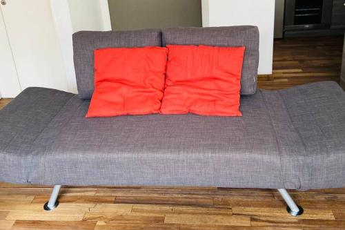 a gray couch with two red pillows on it at Depto de lujo con pileta en San Telmo in Buenos Aires