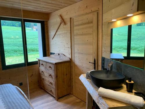 uma casa de banho com um lavatório numa cabina de madeira em l'écureuil, chez le charpentier d'antan, au calme, spacieux T3 duplex, ambiance chalet, vue dégagée et parking privé em Epagny Metz-Tessy