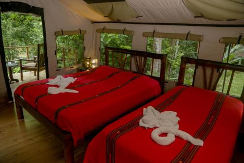 Punta MalaにあるRio Tico Safari Lodgeの赤いシーツが備わるドミトリールームのベッド2台