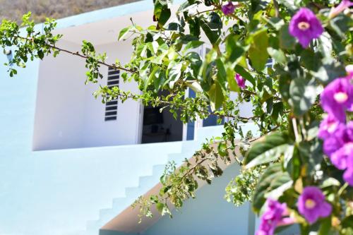 une maison blanche avec des fleurs violettes devant elle dans l'établissement Beach House,Villa Santirome/Free Wifi,Parking, à Westpunt