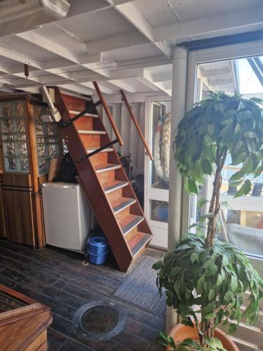 a staircase in a room with a potted plant at Ship Windö in Södertälje