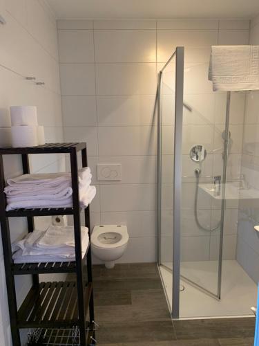Un baño con inodoro y ducha de cristal. en Ferienwohnungen Gergert Nr4, en Löwenstein