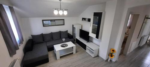 sala de estar con sofá negro y mesa en Apartman Karolina, en Rudanovac