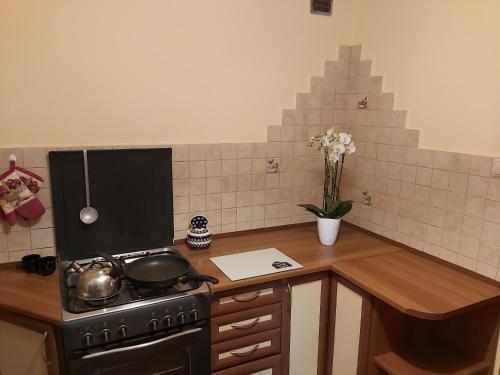 a kitchen with a stove and a counter top at KASZUBIANKA 1 in Gdynia