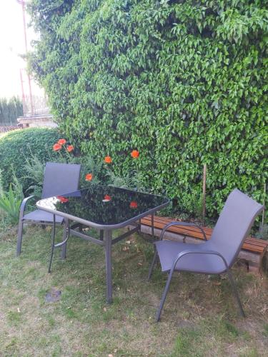 two chairs and a table in front of a bush at KASZUBIANKA 1 in Gdynia