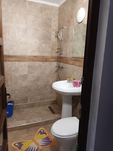 a bathroom with a toilet and a sink at Casa Peneșel in Băile Herculane