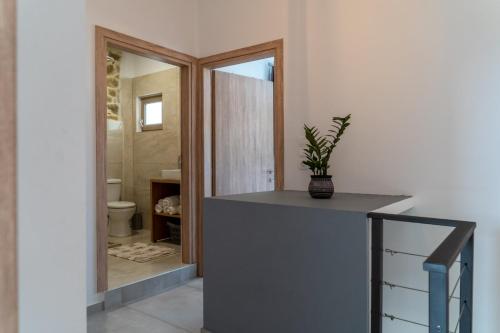 ein Badezimmer mit einer Theke mit einer Topfpflanze darauf in der Unterkunft Rafaela holiday home in Pitsidia