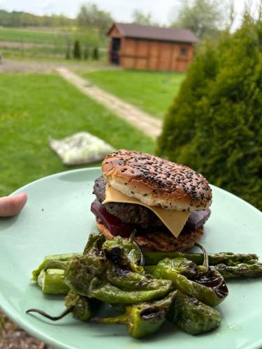 a plate with a hamburger and vegetables on a table at Sielanka Chwaliszów dom całoroczny in Chwaliszow
