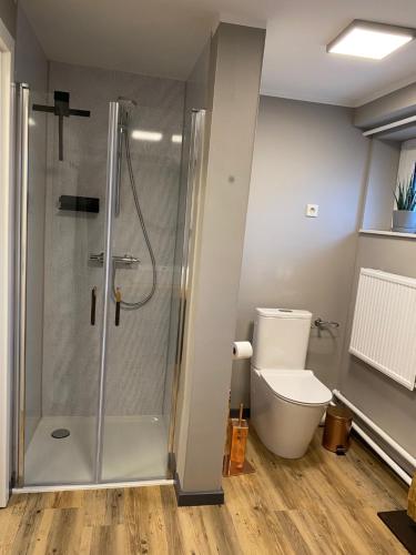 a bathroom with a shower and a toilet at Pension Sandfeld in Teterow