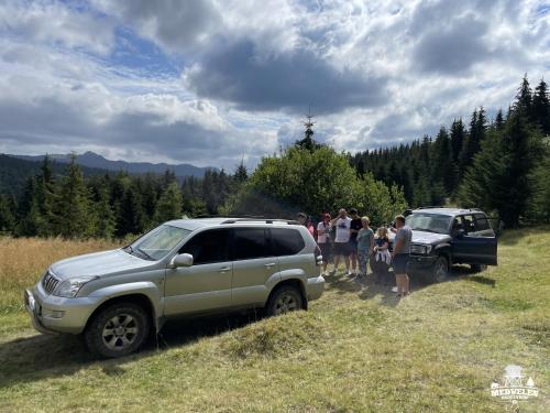 a group of people standing in a field next to vehicles at Transylvania Apartments in Borzont