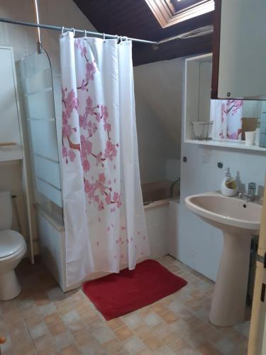 łazienka z zasłoną prysznicową i umywalką w obiekcie maison village 4 chambres 30 minutes du zoo de beauval w mieście Saint-Cyran-du-Jambot