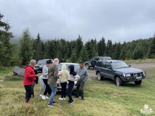 a group of people standing in a field next to cars at Transylvania Apartments in Borzont