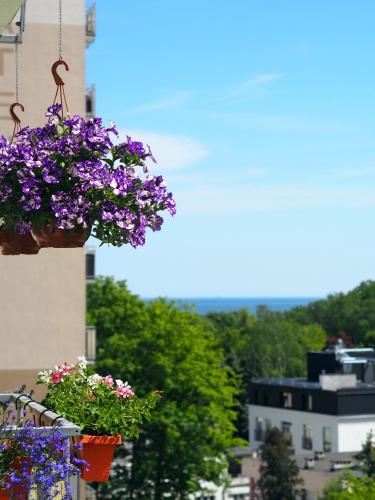 Apartament Gabi by the Sea