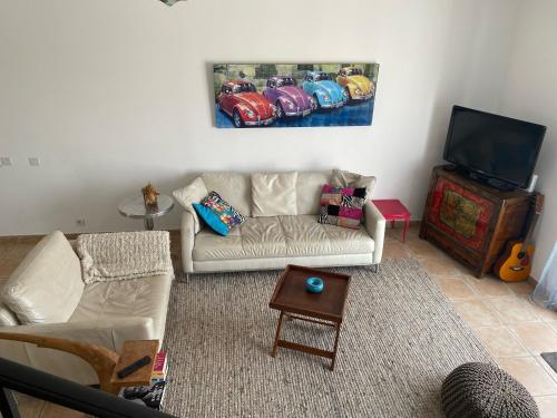a living room with a couch and a tv at Marina 26 in Aigues-Mortes