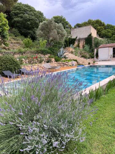 une piscine dans un jardin avec des fleurs violettes dans l'établissement Suite luxe vue sur piscine et parc, à Miramas