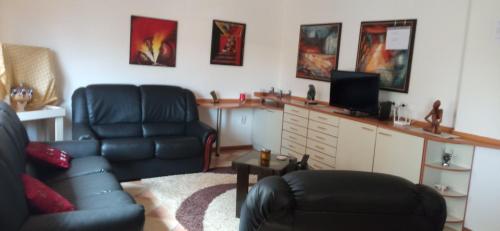 uma sala de estar com um sofá e uma cadeira e uma televisão em Apartment Angelina em Skopje