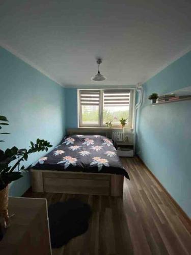 Apartament przy Parku Śląskim