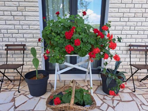 two potted plants and flowers in baskets on a patio at Guesthouse Tamara in Lovište