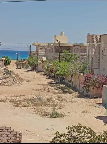 Une rue vide avec des plantes sur le côté d'un bâtiment dans l'établissement فيلا باب البحر, à Marsa Matruh