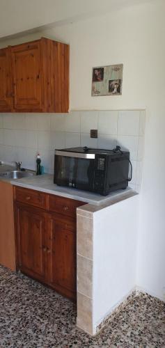 a microwave sitting on top of a counter in a kitchen at Villa Ourania in Troulos