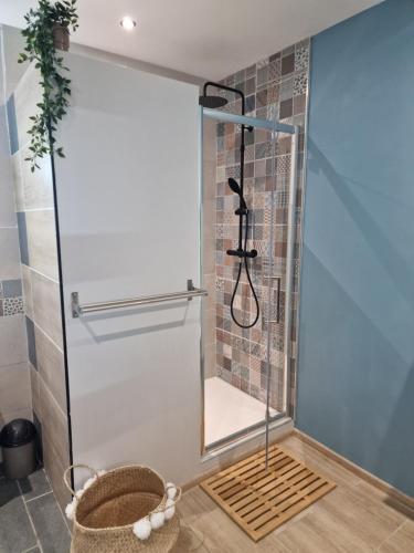 a shower with a glass door in a bathroom at Le Platinium Barachois in Saint-Denis