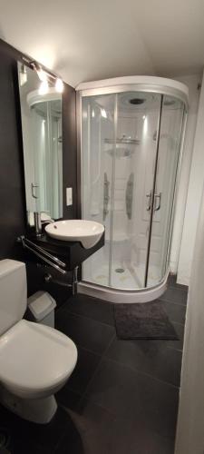 a bathroom with a shower and a toilet and a sink at 028 Gran Reserva in Empuriabrava