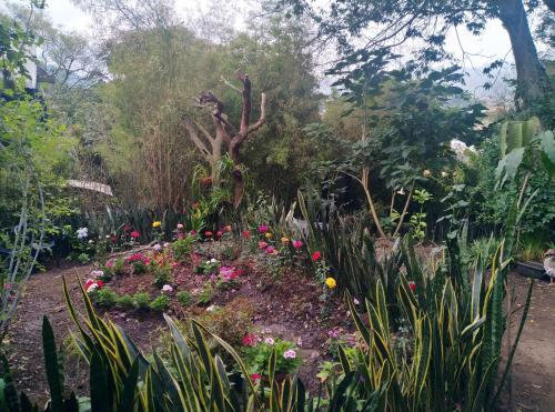 Taman di luar Casa del Aguacate Cumbaya - Tumbaco
