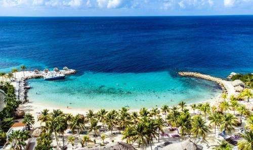 an aerial view of a beach with palm trees and the ocean at Triple Tree # 7 in Blue Bay