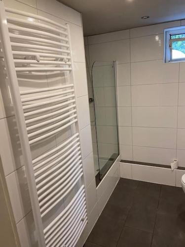 ein Bad mit einer Dusche und einer Glastür in der Unterkunft Gemütliches Apartment für Monteure in Recklinghausen