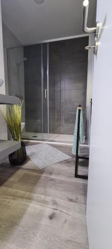uma casa de banho com um chuveiro e uma porta de vidro em Nazaré Apartment 2 na Nazaré