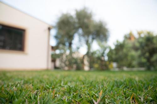 a field of green grass in front of a house at B&B La Manica in Milazzo