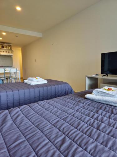 1 dormitorio con 2 camas con sábanas moradas y TV en Temporales Ushuaia - Goleta en Ushuaia