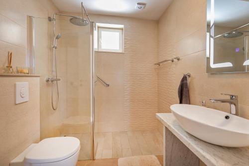 a bathroom with a shower and a sink and a toilet at Apartment Holiday home DoMa, Čilipi near Dubrovnik in Čilipi